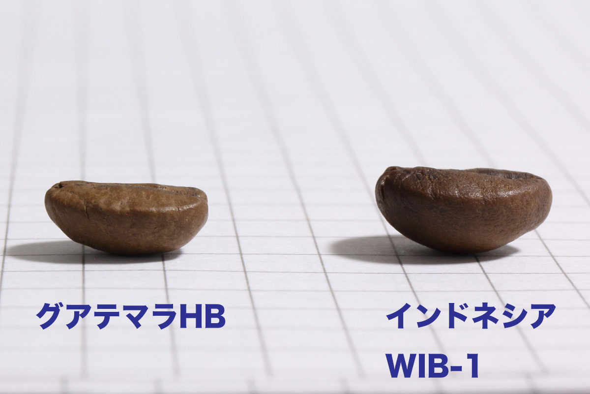 1級実技試験対策 実技満点の私が行ったことと 試験を受けた感想